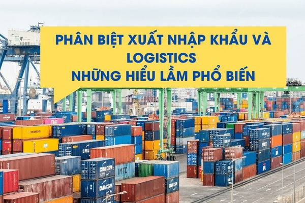 Phân Biệt Xuất Nhập Khẩu và Logistics: Những Hiểu Lầm Phổ Biến